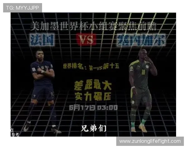 世界杯法国对阵塞内加尔比赛头像设计与赛事亮点全面解析